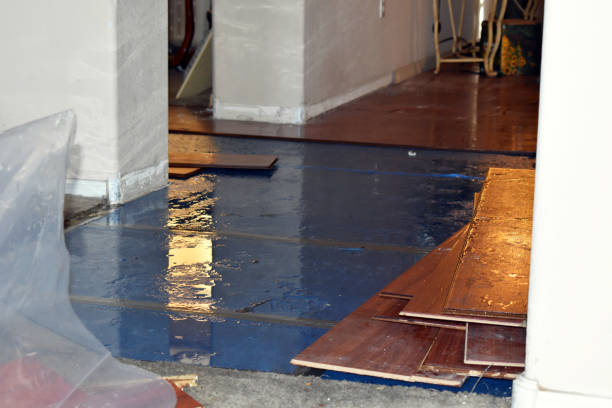 Professional Burst Pipe Cleanup technician working in West Hills, NY